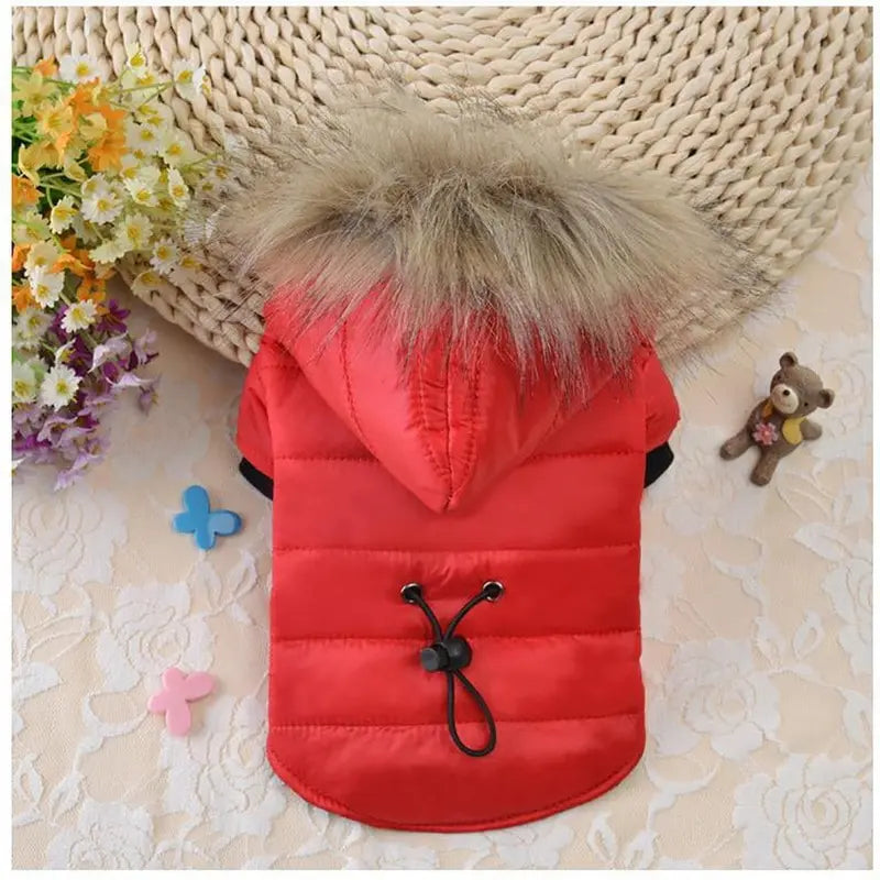 Dog Winter Jackets For Small Medium Dogs Coat